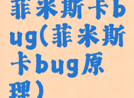 菲米斯卡bug(菲米斯卡bug原理)
