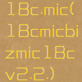 18c.mic(18cmicbizmic18cv2.2.)