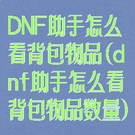 DNF助手怎么看背包物品(dnf助手怎么看背包物品数量)