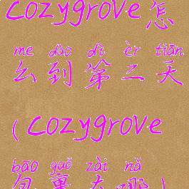 cozygrove怎么到第二天(cozygrove包裹在哪)