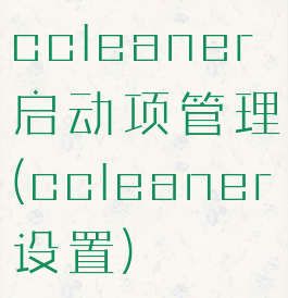 ccleaner启动项管理(ccleaner设置)