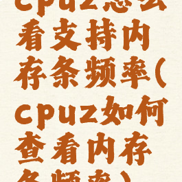 cpuz怎么看支持内存条频率(cpuz如何查看内存条频率)