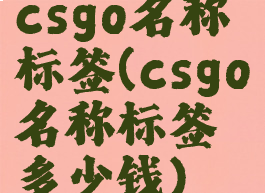 csgo名称标签(csgo名称标签多少钱)