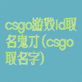 csgo游戏id取名鬼才(csgo取名字)