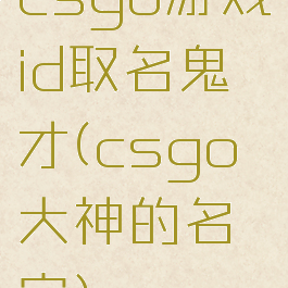 csgo游戏id取名鬼才(csgo大神的名字)