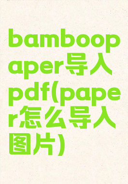 bamboopaper导入pdf(paper怎么导入图片)