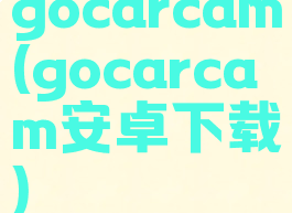 gocarcam(gocarcam安卓下载)