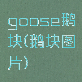 goose鹅块(鹅块图片)