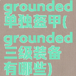 grounded单独盔甲(grounded三级装备有哪些)