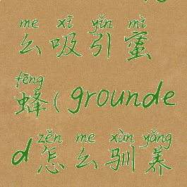 grounded怎么吸引蜜蜂(grounded怎么驯养)