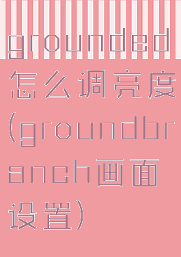 grounded怎么调亮度(groundbranch画面设置)