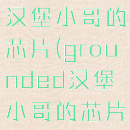 grounded汉堡小哥的芯片(grounded汉堡小哥的芯片有什么用)