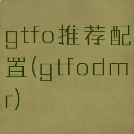 gtfo推荐配置(gtfodmr)