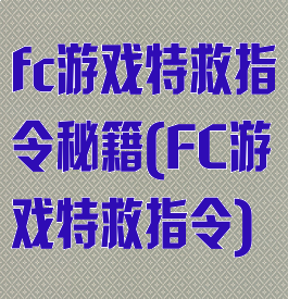 fc游戏特救指令秘籍(FC游戏特救指令)