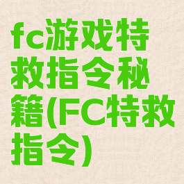 fc游戏特救指令秘籍(FC特救指令)