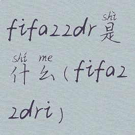 fifa22dr是什么(fifa22dri)