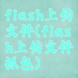 flash上传文件(flash上传文件抓包)