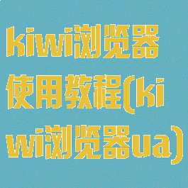 kiwi浏览器使用教程(kiwi浏览器ua)