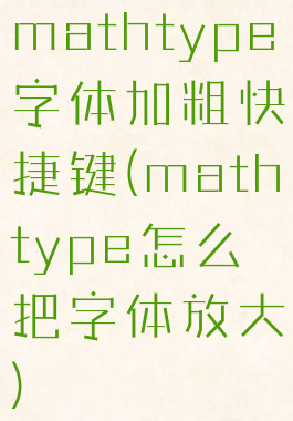 mathtype字体加粗快捷键(mathtype怎么把字体放大)