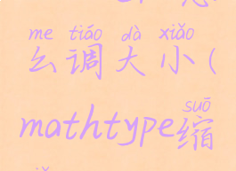 mathtype怎么调大小(mathtype缩小)