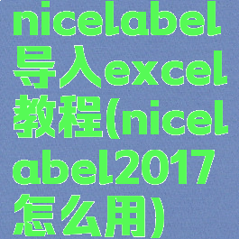nicelabel导入excel教程(nicelabel2017怎么用)