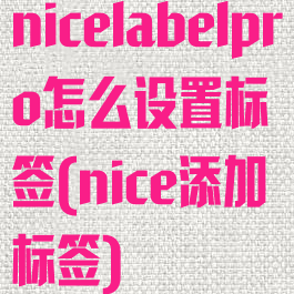 nicelabelpro怎么设置标签(nice添加标签)