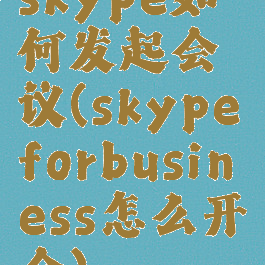 skype如何发起会议(skypeforbusiness怎么开会)