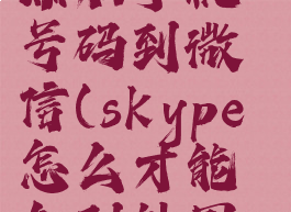 skype怎么添加手机号码到微信(skype怎么才能加到外国好友)