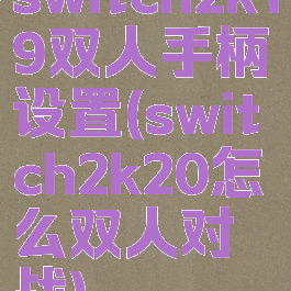 switch2k19双人手柄设置(switch2k20怎么双人对战)