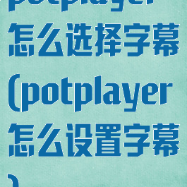 potplayer怎么选择字幕(potplayer怎么设置字幕)