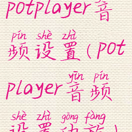 potplayer音频设置(potplayer音频设置功放)