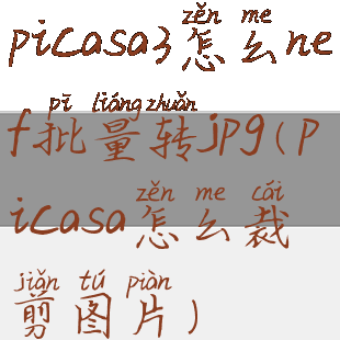 picasa3怎么nef批量转jpg(picasa怎么裁剪图片)