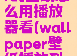 wallpaper的壁纸怎么用播放器看(wallpaper壁纸播放列表)