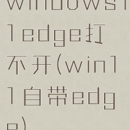 windows11edge打不开(win11自带edge)