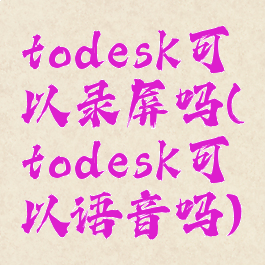 todesk可以录屏吗(todesk可以语音吗)