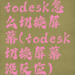 todesk怎么切换屏幕(todesk切换屏幕没反应)