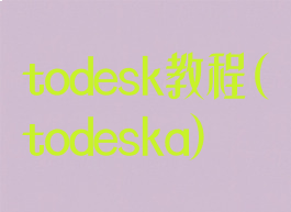 todesk教程(todeska)