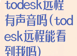 todesk远程有声音吗(todesk远程能看到我吗)