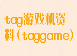 tag游戏机资料(taggame)
