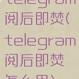 telegram阅后即焚(telegram阅后即焚怎么用)