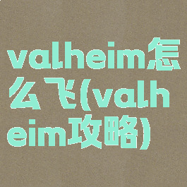 valheim怎么飞(valheim攻略)