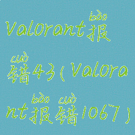 valorant报错43(valorant报错1067)